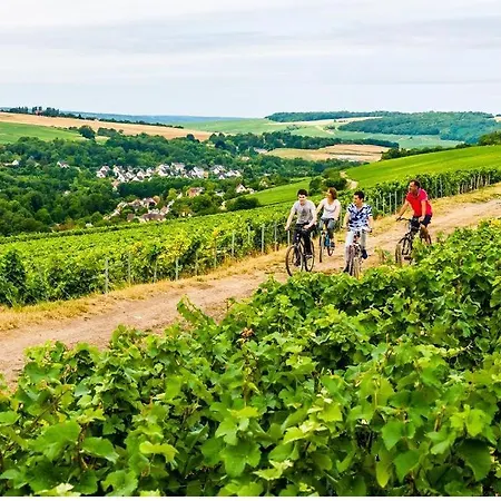 بيت للعطل La Courmoniere *